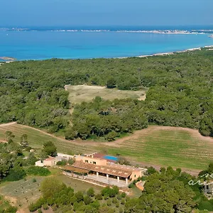 https://agroturismo-ses-arenes.balearic-islands.net